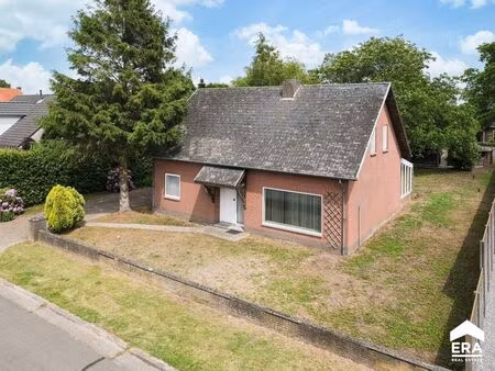 maison à vendre à hamont € 359.000 (loq1o) - era carl tournier (pelt) | zimmo