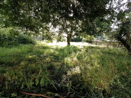 vente terrain à batir 774 m² à saint-georges-de-didonne (17110)  295 100 €