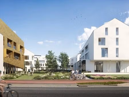 bien professionnel à vendre à sint-truiden € 1.704.000 (loqdm) | zimmo