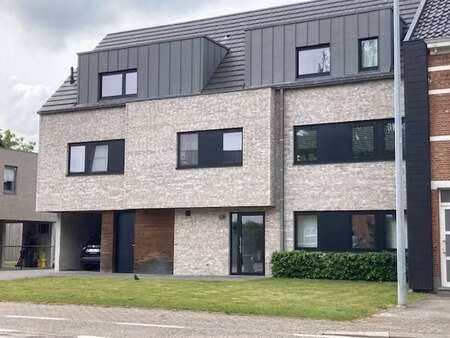 appartement à louer à mol € 775 (lopga) - verhuurburo wn | zimmo