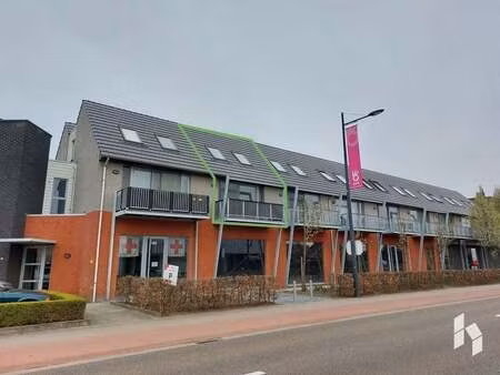 appartement à louer à overpelt € 850 (lopz3) - het huiskantoor verhuur | zimmo