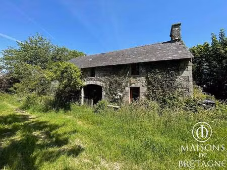 vente maison à bannalec (29380) : à vendre / 150m² bannalec