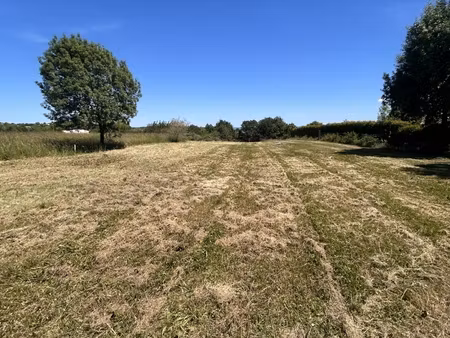 vente terrain 2 495 m²