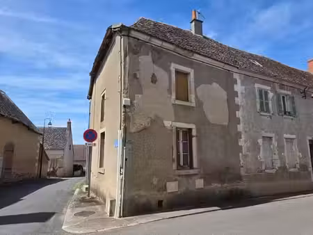 vente maison 2 pièces 55 m² à saint-hilaire-en-lignières (18160)  21 000 €