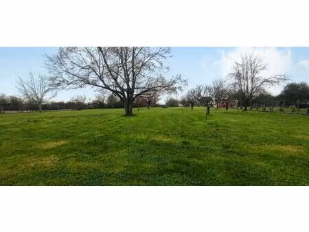 achat terrain 3 846m² porcheres 33660
