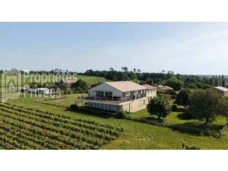 achat maison 9 pièces 364m² st palais 33820