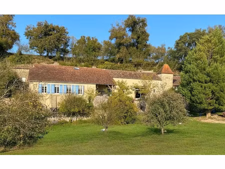 vente maison 7 pièces 222 m² nérac (47600)