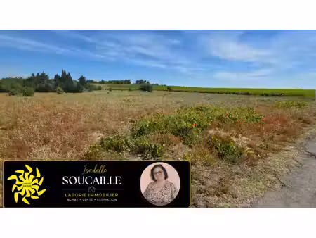 a vendre urgent ensemble de terrains agricoles 15 355 m2
