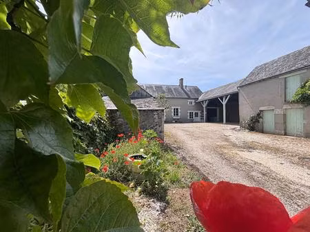 ensemble immobilier vineuil maison + granges