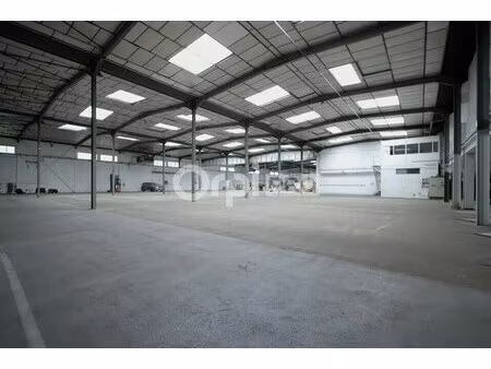 location local d’activités vaulx en velin 69120 4310m²
