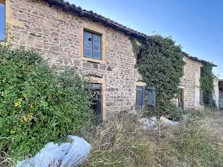 vente maison 6 pièces 750 m² à saint-jean-saint-maurice-sur-loire (42155)  294 000 €