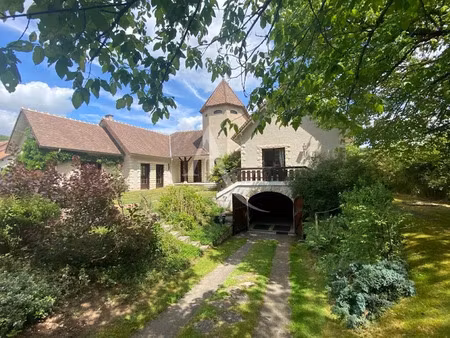 vente maison 11 pièces 300 m² à cosne-cours-sur-loire (58200)  429 000 €
