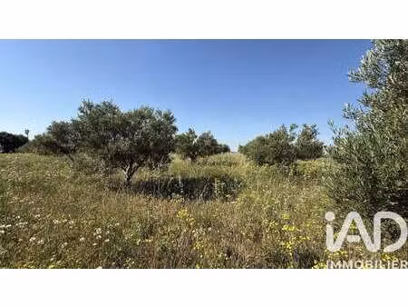 vente terrain à paulhan (34230) : à vendre / 28595m² paulhan