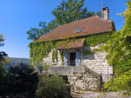 achat : maison (46160)