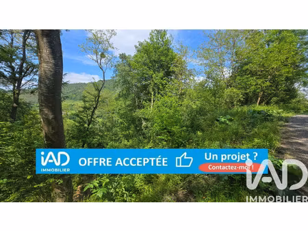 vente terrain à issor (64570) : à vendre / 10366m² issor