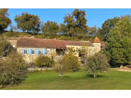 vente maison 7 pièces 222 m² à nérac (47600)  435 000 €