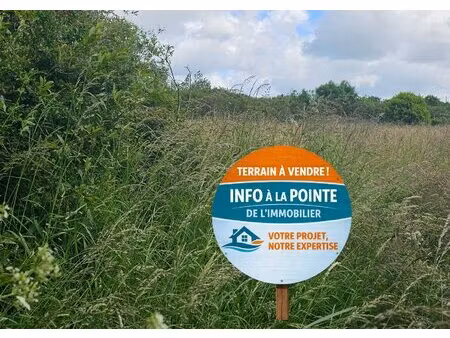 terrain constructible