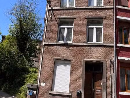 maison 4 ch. 2 sdb verviers  251m²  jardin