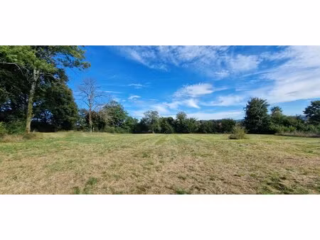 gezier et fontenelay - terrain d'exception de 4701 m²