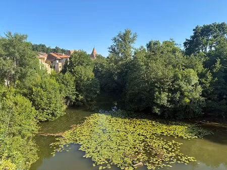 maison au coeur de casseneuil ? vue exceptionnelle sur la lède.