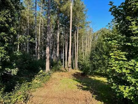 terrain exceptionnel de 19 ares