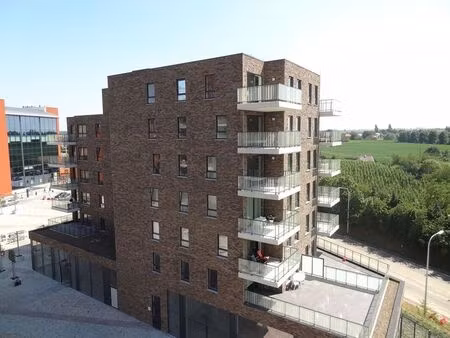 appartement à louer à sint-truiden € 845 (hxu85) - imanex | zimmo