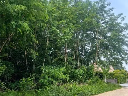 terrain à vendre à linkhout € 189.000 (lor5t) - emma hendrickx | zimmo