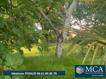 vente terrain 720 m² à port-de-lanne (40300)  95 000 €