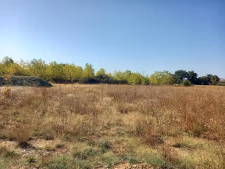 vente terrain 911 m² à saint-jean-de-rives (81500)  129 500 €
