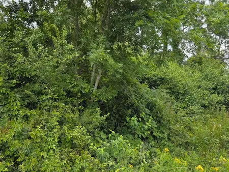 vente terrain 700 m² à saint-rémy-lès-chevreuse (78470)  295 000 €