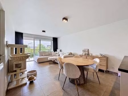 appartement à louer à harelbeke € 675 (lor73) - dewaele - kortrijk | zimmo