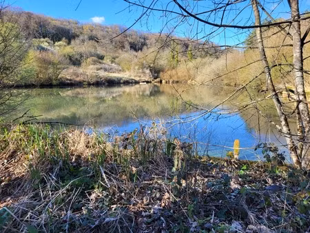 terrain à vendre de 5 6 ha secteur de bologne (52)