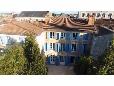 demeure de prestige saint maixent l ecole 11 pièce(s) 320m2