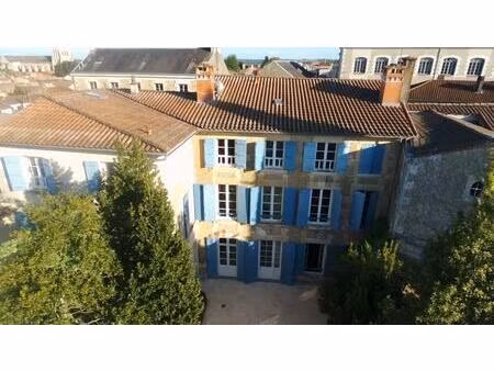 demeure de prestige saint maixent l ecole 11 pièce(s) 320m2