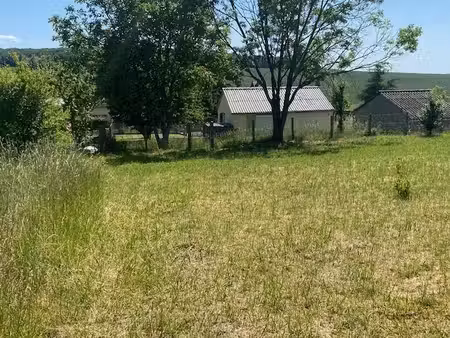 terrain
