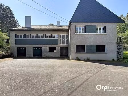 vente maison 8 pièces 295 m² chalinargues (15170)