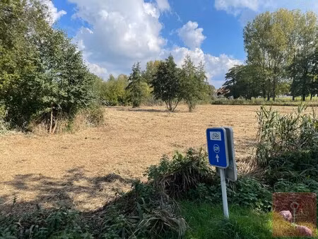 3 percelen  rustig gelegen  landbouwgrond te koop nabij natuurgebied - houthalen-helchtere