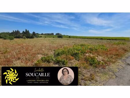 a vendre urgent ensemble de terrains agricoles 15 355 m2