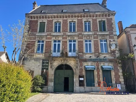 achat maison 880m² ay champagne 51150