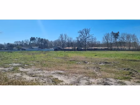 vente terrain à construire 811 m² saint-magne (33125)