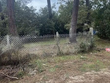vente terrain à construire 980 m² vensac (33590)