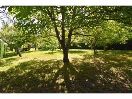 terrain - 783 m²