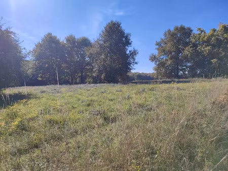 vente terrain à construire 1480 m² tabanac (33550)