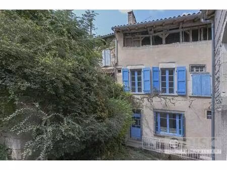 belle et spacieuse maison de village avec boutique et jardin