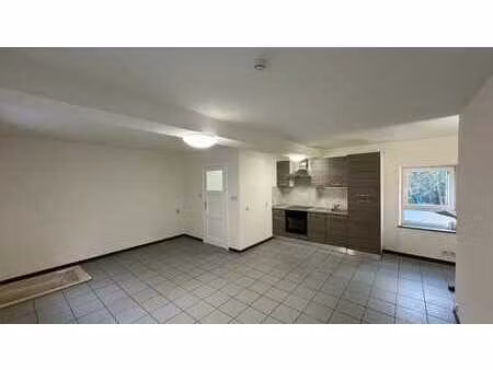 duplex entierement remis a neuf avec jardin