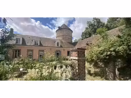 propriété avec jardin dangeau (28)