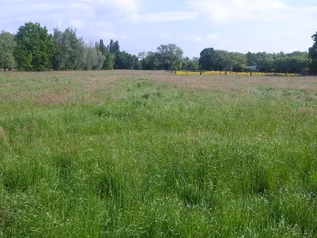 terrain à vendre à putte € 320.000 (lorfu) - | zimmo