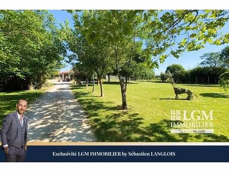 paulhac 31380  propriété d'exception avec maison et pension canine