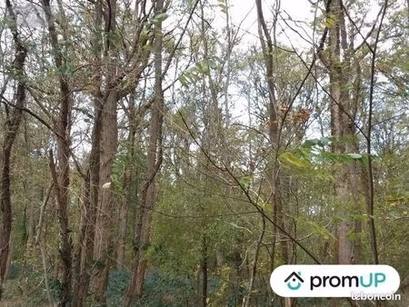 forêt 5 570 m² chatillon sur cher