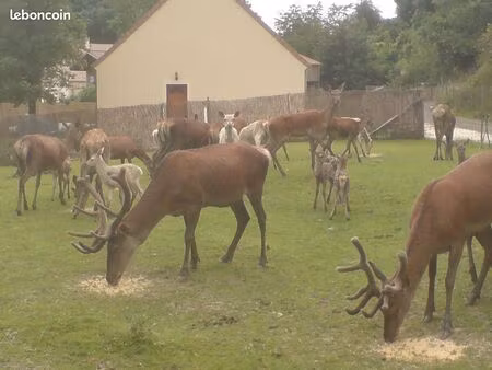 maison 4 pièces extra calme et nature